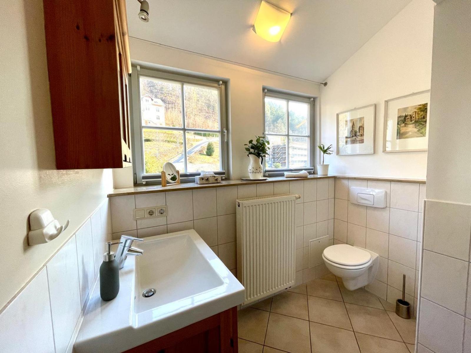 Villa Monsei In Bad Schandau Zewnętrze zdjęcie